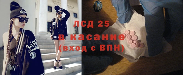 эйфоретик Алзамай