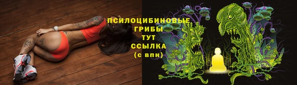 герыч Алексин