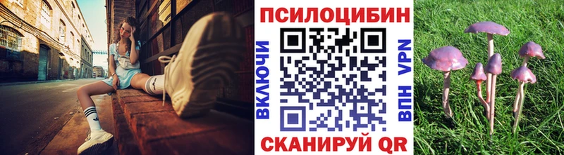 Купить закладки Сосновка Псилоцибиновые грибы Psilocybe